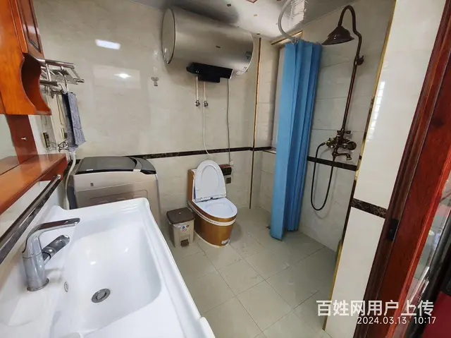 大凌河边新市政府一中四高水域澜庭 - 图片 4