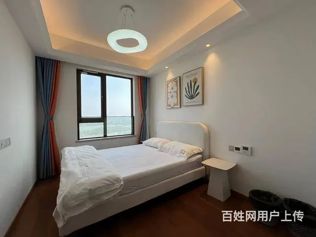出门武汉站 东湖旁 近杨春湖实验学校 欢乐天际 徐 - 图片 9