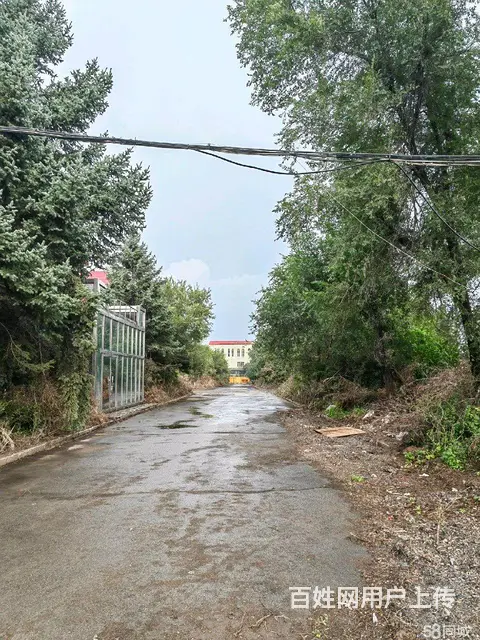 南岗区学府路哈达附近厂房出租 - 图片 6