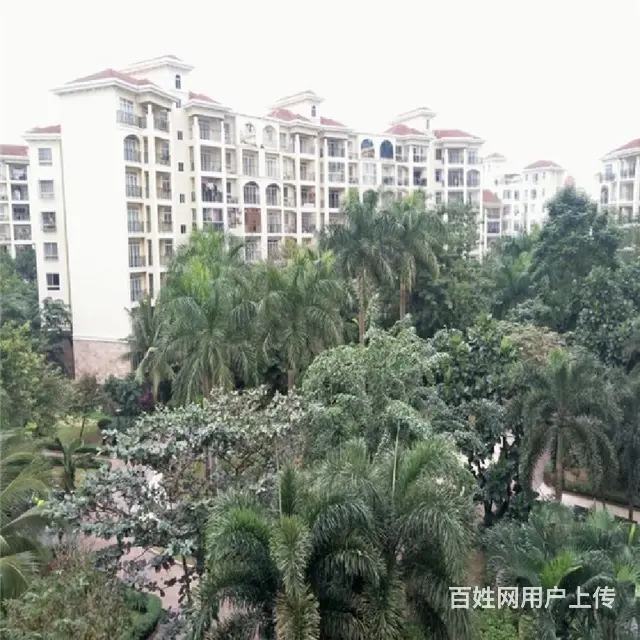 龙湖光年 商圈        四季华庭2房 - 图片 10