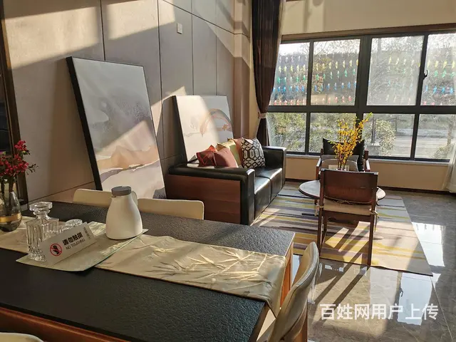捡漏价渠道滁州公寓星荟城轻轨站复式双层通燃气 - 图片 9
