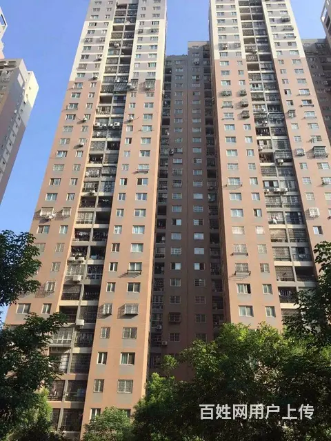 4号线铁机路地铁 岳家嘴 欢乐大道 金地广场 精装 - 图片 10