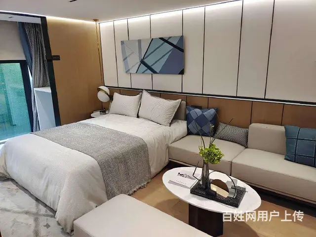 总价25万（找我员工价7折优惠）~精装毛坯任意选 - 图片 3