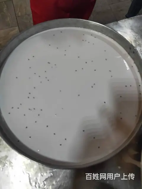 七彩果蔬凉皮小吃技术培训 凉皮技术哪里教学 - 图片 4