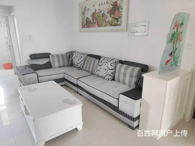 光明小区 普通住宅2室1厅 精装修 - 图片 5