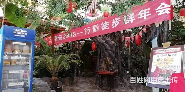 营业中占地9610平米大型生态餐饮整体对外委托拍卖 - 图片 5