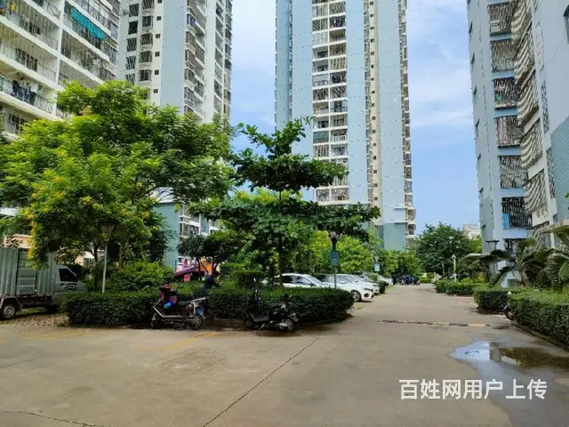 新大洲大道    儒俊雅苑3房 - 图片 9