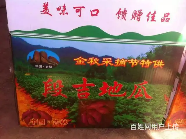 自家种的正宗段吉地瓜 - 图片 1