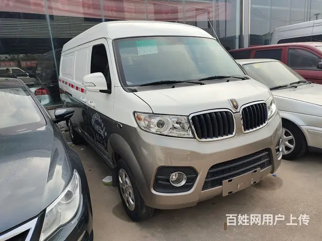 21年金杯新海狮，2人箱式货车。全车原版原漆， - 图片 1