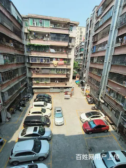 【搞定了！】东新小区 31小双学位 框架结构 小区管理 附近 - 图片 8