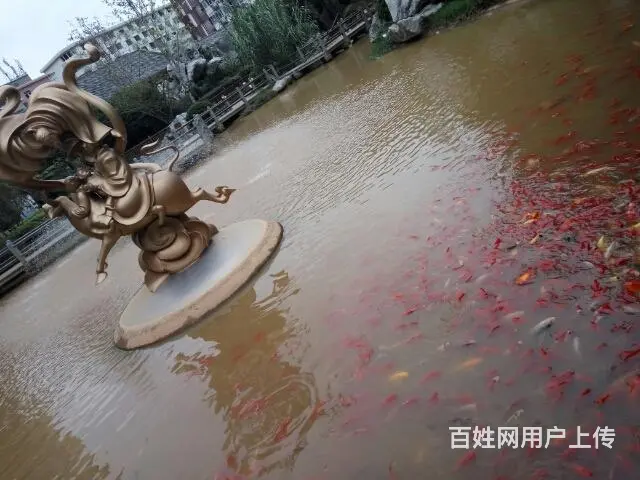 诚心找结婚女人 - 图片 9