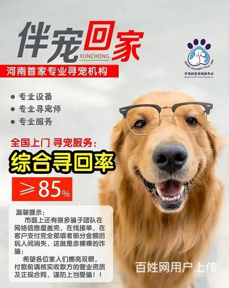 商丘专业找猫寻狗宠物团队商丘专业寻宠团队 - 图片 3