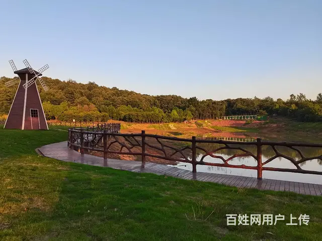 合肥鑫森生态示范园合适自驾游亲子游 - 图片 7
