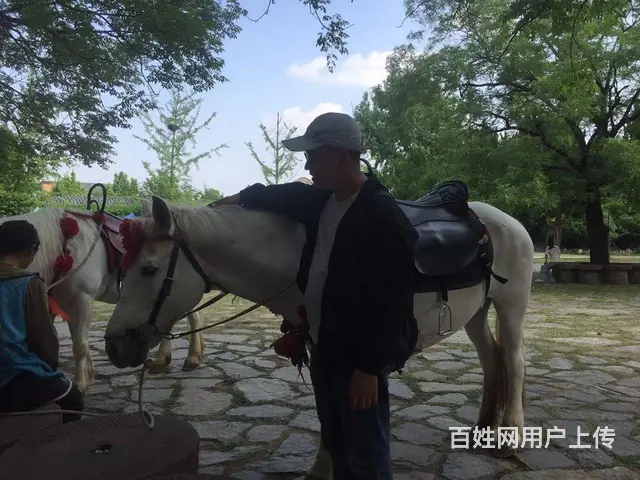 诚心征婚 - 图片 2