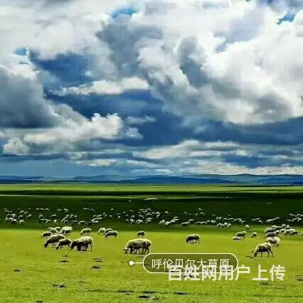 呼伦贝尔额尔古纳草原旅游租车包车师傅排名 - 图片 5