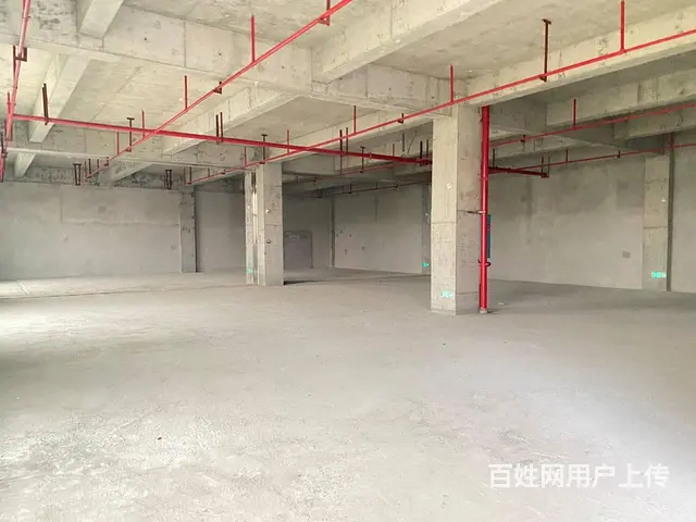 （房东直租）中青路佳海园区460一1500平厂房，可分租 - 图片 7