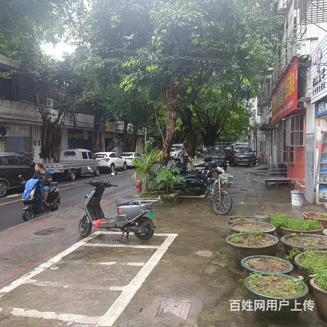 （51旺铺推荐）秀英区椰棕街10平中国福利彩票店转让 - 图片 3