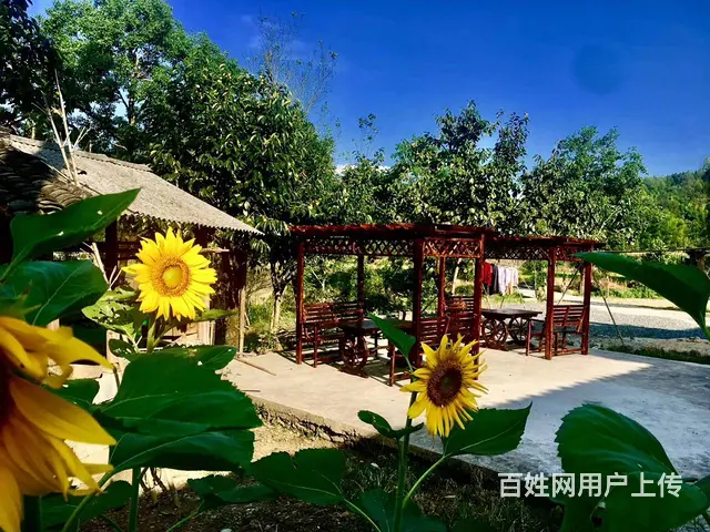 自建房-宏村协里月荷锄归客栈 - 图片 7