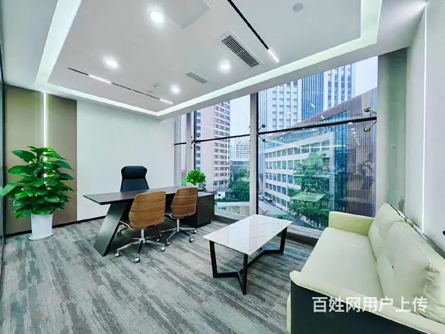 专租正大国际！55平！65平！88平！98平！100多平 - 图片 6