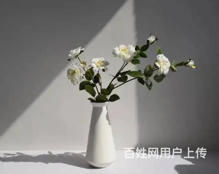 郑州学习插花学费一般要多少 - 图片 3