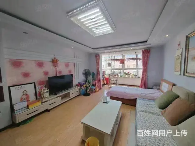 铁西花园，四楼，两室两厅南北通透，拎包入住，可贷款 - 图片 5