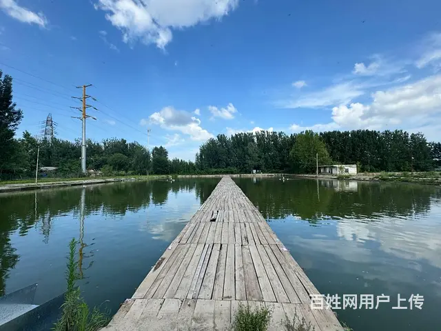 （徐州找店网）东区营业中鱼塘转让 - 图片 1