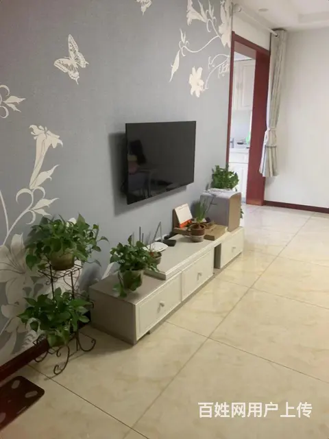 德蚨家园精装二室二厅南向好房出租了 - 图片 5