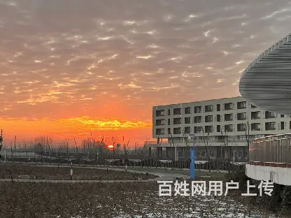 邢台正规学历提升培训本地第一家单招培训 - 图片 1