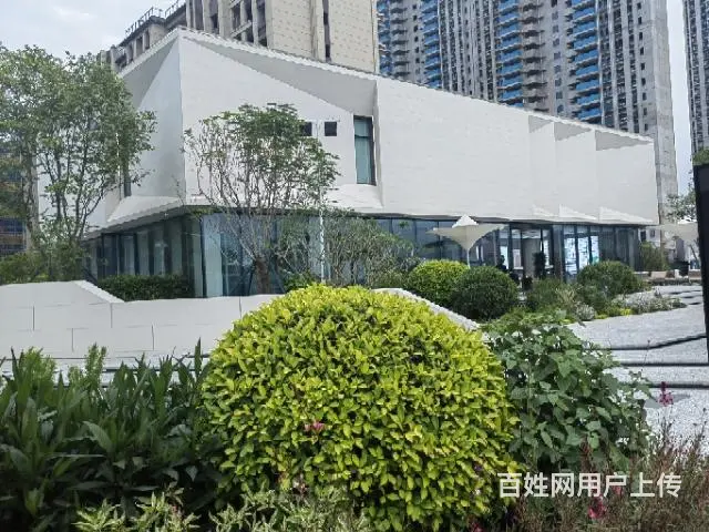 悦城赞助田东实验高中。 - 图片