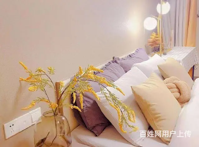 免中介 可短租 设施齐全 免费看房  免费搬家 包物业网络 - 图片 5