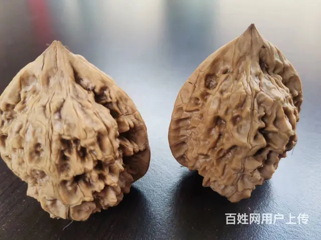 文玩核桃 - 图片 1