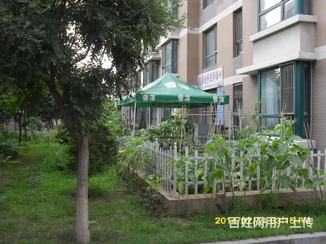 富海铭尊2室1厅 一楼带自家小花园 - 图片 1