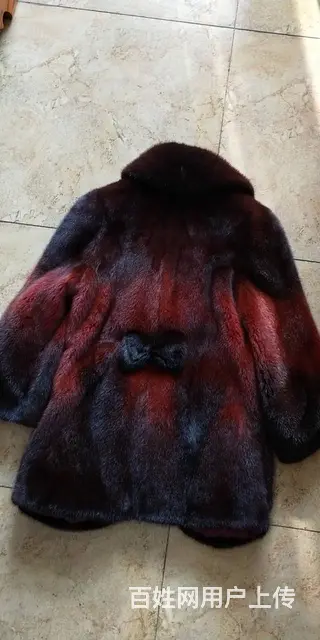 沈阳市回收貂皮衣服 上门貂皮回收 - 图片 7