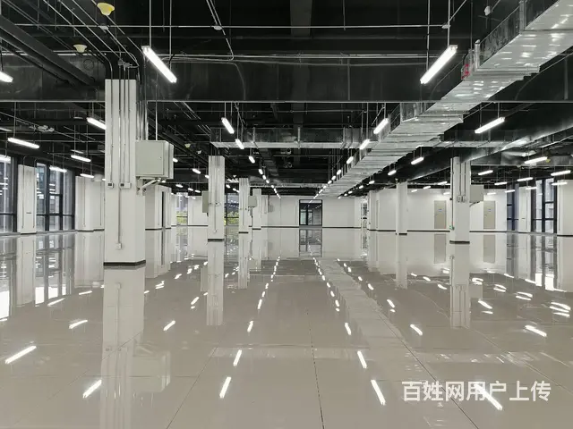 四层5700平独栋办公楼  沈阳国际软件园甲方招商 送免租期 - 图片 9