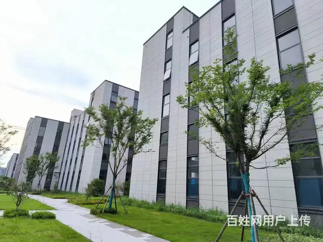 现房厂房出售，1200平起，赠送露台，总价低 - 图片 5