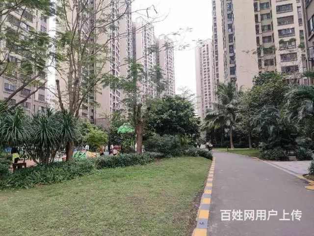 滨海大道商圈   绿地海德公馆3房 - 图片 11
