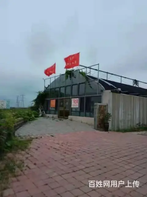 厂房养殖棚 - 图片 1