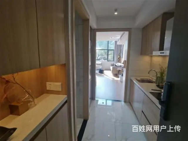 淹城对面新出复式公寓南北通透民用水电送大阳台准现房 - 图片 4