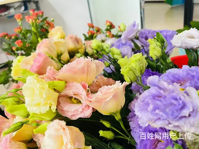 苏州吴中城南街道线下培训花艺补贴的有吗 - 图片 2