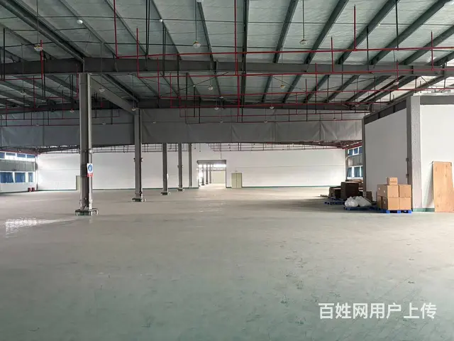 出租温江科技园6500平厂房库房 可分租 - 图片 3