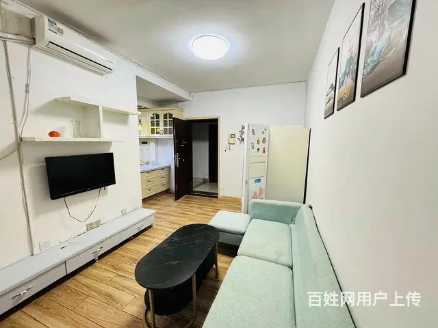 侯家塘 白沙路 白沙晶城 一室一厅 朝南 户型周正 - 图片 2