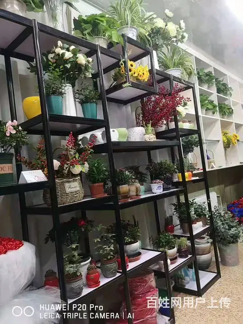 7640(七P)个人大通区桥头临街旺铺芸洋花店对外低价转让 - 图片 3