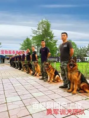 成都周边哪里有训犬基地，哪家训犬比较好 - 图片 2