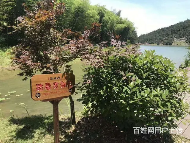 优优学府 精装修住宅 实验小学 师范附属学校，湿地 - 图片 11