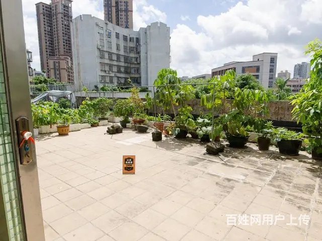 银厦广场 3室2厅，楼梯房，精装修 - 图片 11