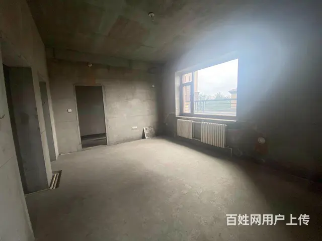 群力盛和天下挑空别墅998万带车库边户大花园满2年随时看房 - 图片 5