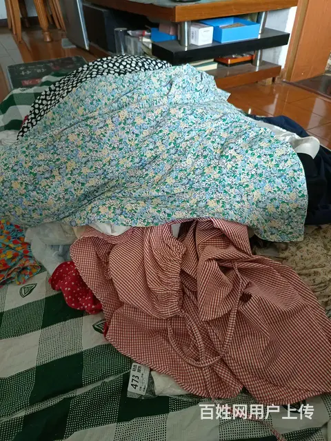闲置旧衣服 鞋子包包 毛绒玩具 棉絮棉被 酒店布草 - 图片 6