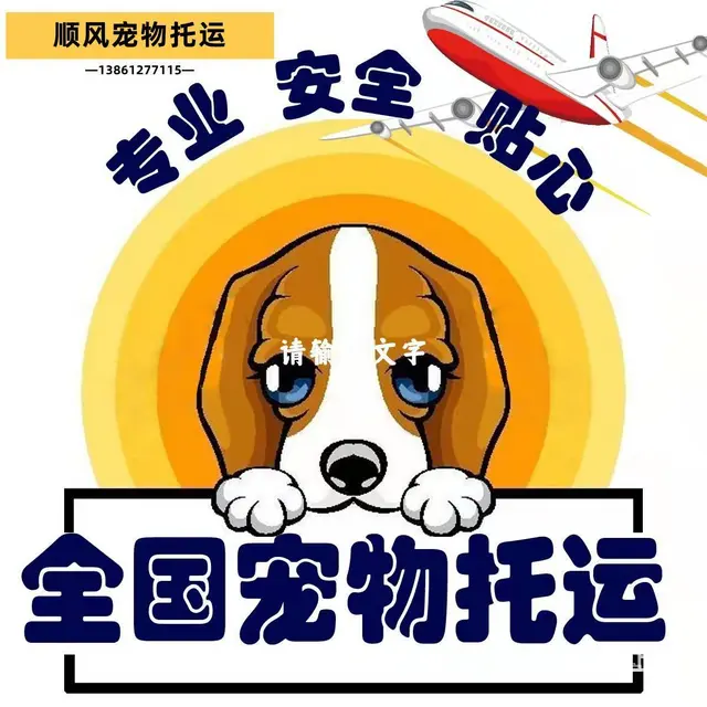 2022常州市到全国）宠物托运（猫狗）邮寄快递（宠物活体运输 - 图片 4