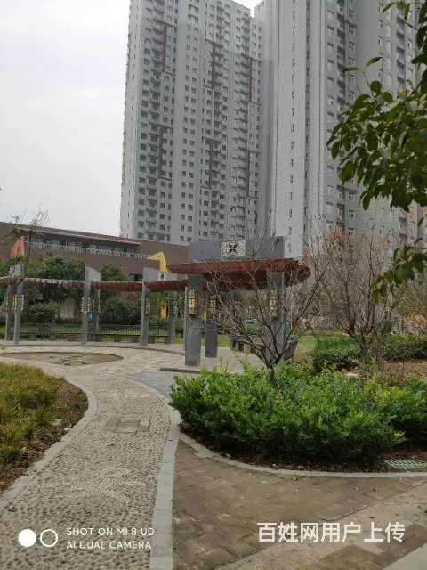 偃师新寨社区93平2居低价出售 - 图片 3