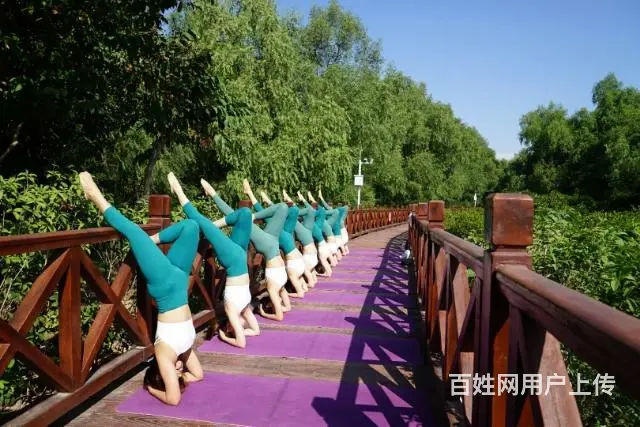 清远旧城小市瑜伽教练培训机构哪个好 - 图片 2